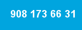 908 173 66 31 908 173 66 31